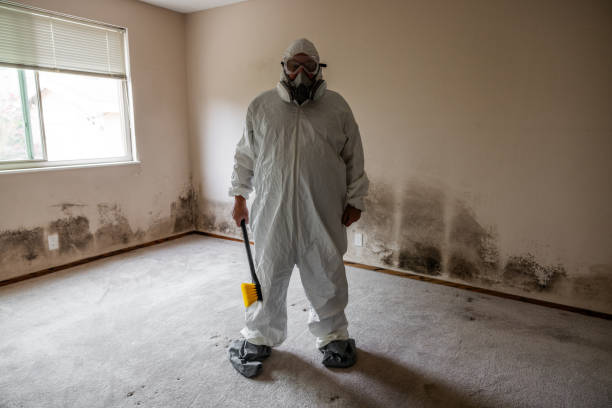Best Real Estate Mold Inspection  in Weatherby Lake, MO